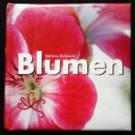 Stefano Dulevant: Blumen Stefano Dulevant: Blumen