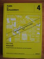 Wirtschaft. Aktuelle Probleme des Wachstums und der Konjunktur [=Politik in Schaubildern, 4]