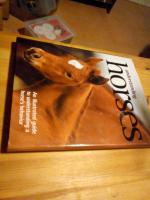 Don Harper: Understanding horses