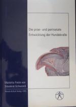 Süsskind-Schwendi, Marietta Freiin von: Süsskind-Schwendi, Marietta Freiin von: