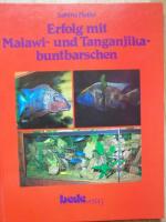 Erfolg mit Malawi- und Tanganjika-Buntbarschen