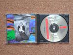 Sophie B. Hawkins - Tongues And Tails