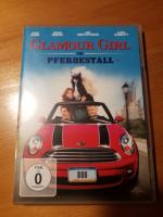 Glamour girl im Pferdestall