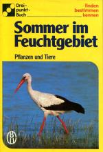 Sommer im Feuchtgebiet - Pflanzen und Tiere