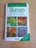 Blumen - Sonnenblumen, Stauden, Knollen- und Zwiebelgewächse.