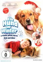 Ein Hund im Winter - 4 Pfoten gehen durch dick und dünn