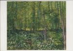 Postkarte - Vincent van Gogh Trees and undergrowth 1887