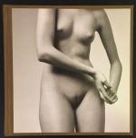 Untitled Nudes.