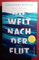 Die Welt nach der Flut (Roman)