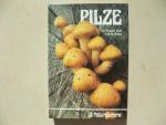 Pilze