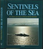 Sentinels of the Sea: The History and Future of German Surface Warships