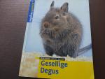 Gesellige Degus