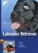 Brigitte Rauth-Widmann: Labrador Retriev