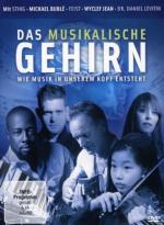 Das musikalische Gehirn