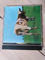 Pink Floyd Atom Heart Mother CD 1990