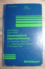 Renormalized Supersymmetry