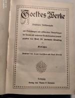 Goethes Werke Band 1: Gedichte