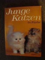 Angela Sayer: Junge Katzen in Farbe.