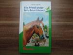 Jenny Hughes: Ein Pferd unter falschem N Jenny Hughes: Ein Pferd unter falschem N