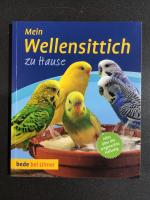 Mein Wellensittich zu Hause