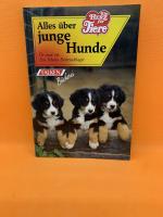 Alles über junge Hunde