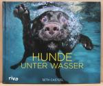 Seth Casteel: Hunde unter Wasser