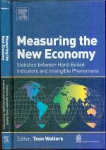 Measuring the New Economy: Statistics Between Hard-Boiled Indicators and Intangible Phenomena