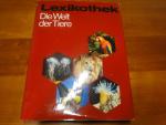 Beauvoir, Simone de: Der Lauf der Dinge Beauvoir, Simone de: Der Lauf der Dinge