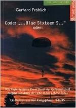 Funkspruch "Blue Sixteen S" oder:  Wie Flight Sergeant David Booth der Gefangenschaft entgeht und dabei die Liebe seines Lebens findet - Ein Roman aus den Kriegsjahren 1944/45