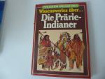 Wissenswertes über die Prärie-Indianer. Zivilisation und Kulturen. Hardcover