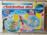 Salzkrebse MAXI- Galileo