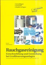 Rauchgasreinigung: Entschwefelung und Entstickung bei Grossfeuerungsanlagen