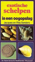 Exotische Schelpen in een oogopslag