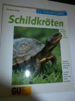 Schildkröten richtig pflegen und verstehen