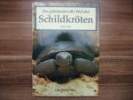 John Lehrer: Schildkröten