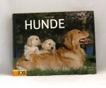 Derek Hall: Hunde - Mit über 400 brillan Derek Hall: Hunde - Mit über 400 brillan