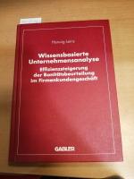 Wissensbasierte Unternehmensanalyse - Effizienzsteigerung der Bonitätsbeurteilung im Firmenkundengeschäft