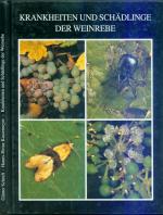 Krankheiten und Schädlinge der Weinrebe