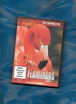 Neue Tierwelten - FLAMINGOS - Das Leben 