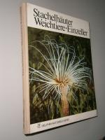 Roswitha Rietschel-Kluge: Stachelhäuter, Roswitha Rietschel-Kluge: Stachelhäuter,