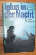 Iglus in der Nacht.