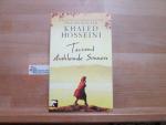 Tausend strahlende Sonnen : Roman. Khaled Hosseini. Aus dem Amerikan. von Michael Windgassen / BvT ; 0589