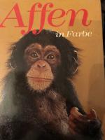 Affen in Farbe