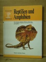 burton, maurice und robert: "Reptilien u burton, maurice und robert: "Reptilien u