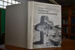 Sühne und Gedenken, Steinkreuze in Baden-Württemberg. Ein Inventar. Forschungen und Berichte zur Volkskunde in Baden-Württemberg Bd. 4