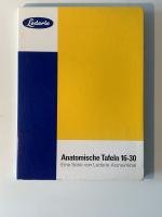 Wyeth-Lederle Klinik: Anatomische Tafeln