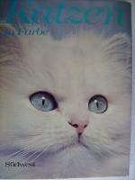 Christine Metcalf: Katzen in Farbe. Christine Metcalf: Katzen in Farbe.