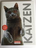 Gloria Stephens: Katzen Gloria Stephens: Katzen