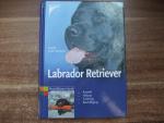 Brigitte Rauth-Widmann: Labrador Retriev