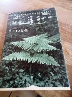 Die Farne